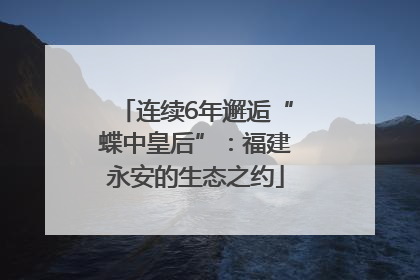 连续6年邂逅“蝶中皇后”：福建永安的生态之约